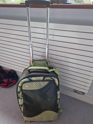 Photo of free Wheeled suitcase (Broxbourne EN10)