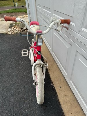 Photo of free Girl’s Beginner Bike (Maple Glen)