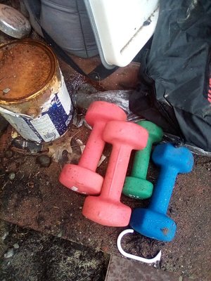 Photo of free Free weights (Lakewood, near St Clares)
