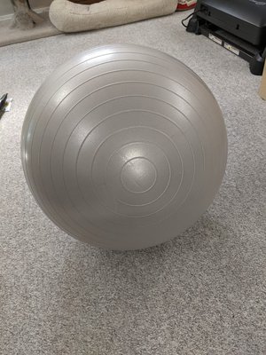 Photo of free Exercise ball (Inglewood area, Edmonton)