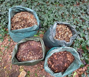Photo of free Browns for compost/mulch (BR1 near Bromley Court Hotel)