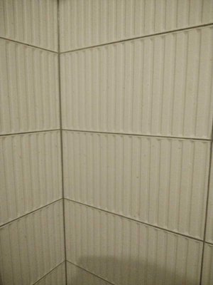 Photo of free Wall tiles (West Park TS26)