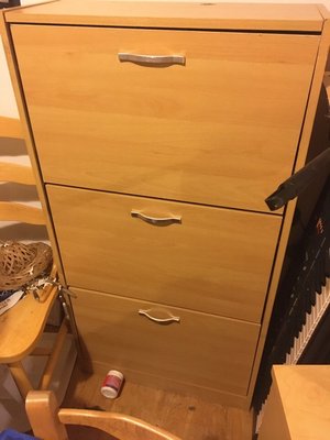 Photo of free Shoe cabinet (Dingestow)