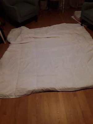 Photo of free NEW Comforter/duvet insert (Westside Waterbury)