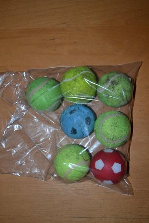 Photo of free Balls for dogs (Glenrothes KY7)