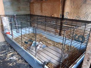 Photo of free Small animal cages (CB8)