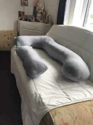 Photo of free Pregnancy Pillow new never used (Buckland TQ12)