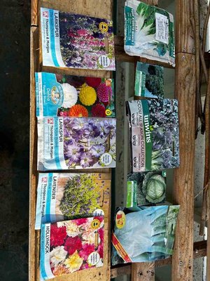 Photo of free Veg and flower seeds (Kington St Michael SN14)