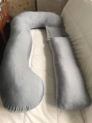 Photo of free Pregnancy Pillow new never used (Buckland TQ12)