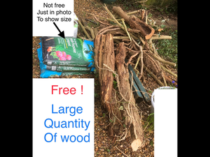 Photo of free Large quantity of wood (Cranwell)