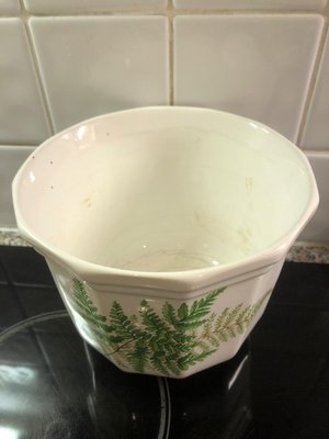 Photo of free Ceramic plant pot with fern design (Newington EH9)
