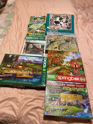 Photo of free Puzzles (Holly Hill)