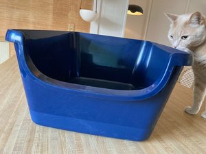 Photo of free Frisco XL cat litter box (East Hollywood)