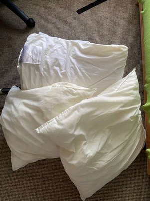 Photo of free Double duvet + 2 cushions (Florence Park OX4)