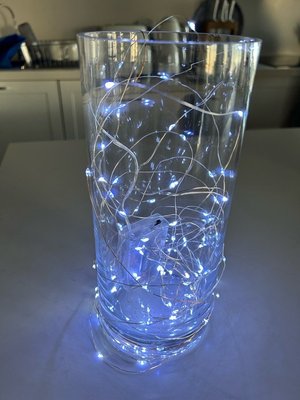 Photo of free Approx 9-meter string of LED lights (Neutral Bay)