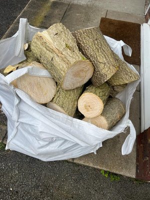 Photo of free Logs (SW20)