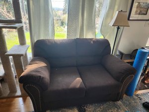 Photo of free Two matching couches (Pinehurst)