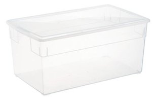 Photo of free Large clear storage bin (Woodside)