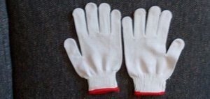 Photo of free Garden gloves (Hintonburg)