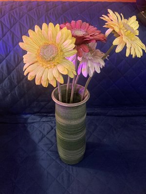 Photo of free Vase w/silk flowers (Columbia Heights)