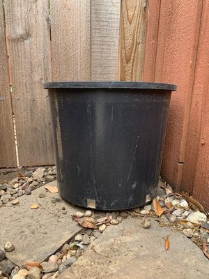 Photo of free Plastic pots (North Arlington (North Arlington (76012))