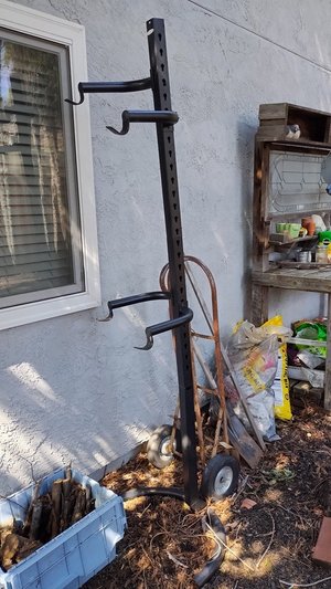 Photo of free Bicycle Tree (Vacaville)