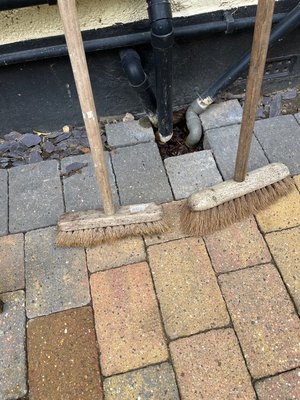 Photo of free 2 x Soft Bristle Wooden Brooms (Hayes, BR2)