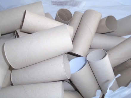 Photo of free Carrier bag of toilet roll inner tubes (Orton Waterville) #1