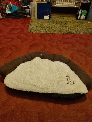 Photo of free Dog bed (Hay Mills B25)