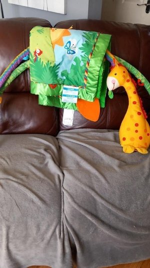 Photo of free Fisher price play gym (Wyken Coventry CV2)
