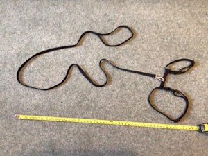 Photo of free Small pet harness and lead (Hertford SG13)