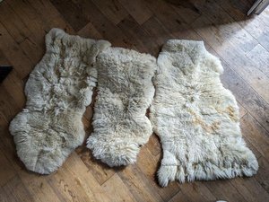 Photo of free Damaged sheep skin rugs X 3 (NE12 Benton)