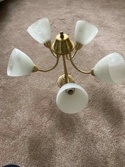 Photo of free Ceiling light (Near Ashwater) #2