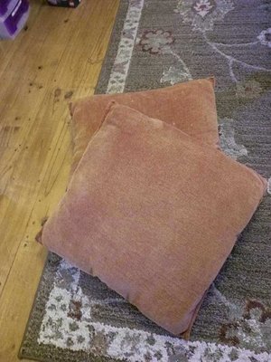 Photo of free Cushions (Oaklands nr Welwyn AL6)