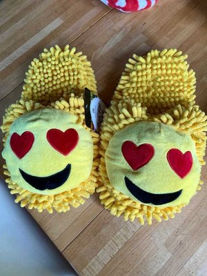 Photo of free Silly slippers adult uk size 7 (St Albans AL3)