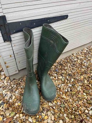 Photo of free Wellies (Blacklands TN34)