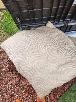 Photo of free dog/cat/pet pillow (Temple Hills,MD)
