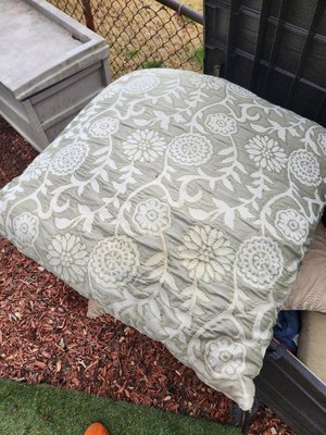 Photo of free Dog pillow (Temple Hills,MD)