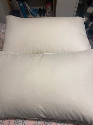 Photo of free Two goose down pillows (Cockermouth CA13)