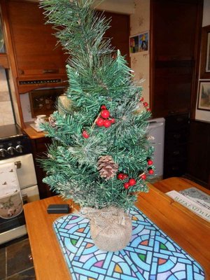 Photo of free Christmas tree. (Hutton Buscel YO13)
