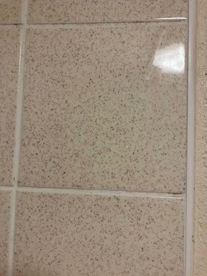 Photo of Wall tiles (Brinnington SK5)