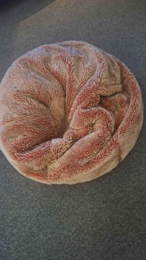Photo of free Beanbag (Hove Station area BN3)