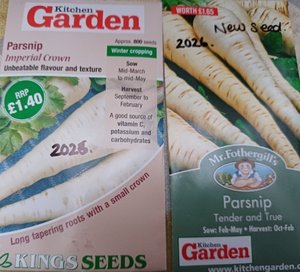 Photo of free Parsnip Seeds. (Chichester PO19)