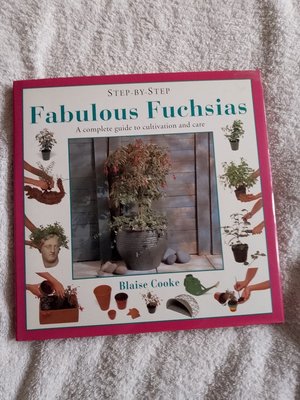Photo of free Fuchsia growing (Ifield West)