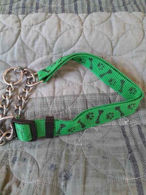 Photo of free Dog leads, collars, harness etc (Upper Hill HR6)