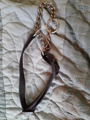 Photo of free Dog leads, collars, harness etc (Upper Hill HR6)