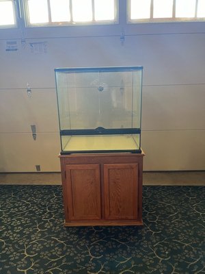 Photo of free Terrarium and wooden base cabinet (Fremont, Niles Area)