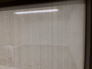 Photo of free Roller shade (Tangletown)
