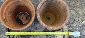 Photo of free Small Terracotta Pots (Berrow TA8)
