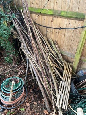 Photo of free Wood for stakes in garden (Dallington)